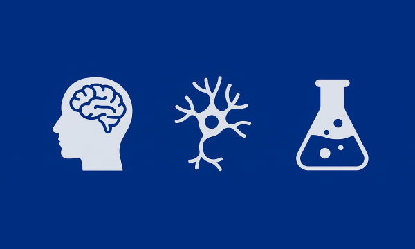 Pubblicazione risultati prova orale - Dottorato Toscano di Neuroscienze ciclo XLII.
